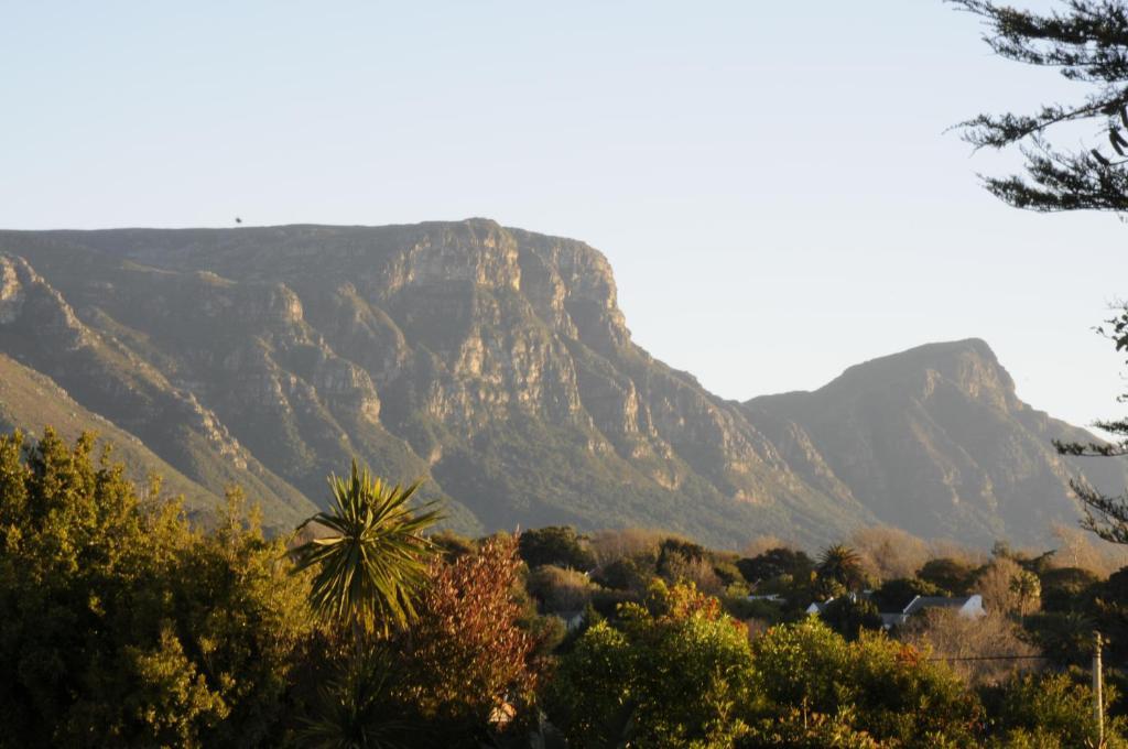 Summit Place Guesthouse Cape Town Dış mekan fotoğraf